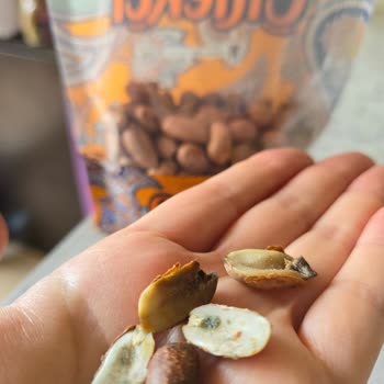 Aldığım Fıstıklar Küflü Ve Kurtluydu