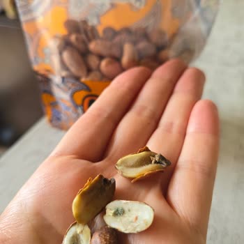 Aldığım Fıstıklar Küflü Ve Kurtluydu