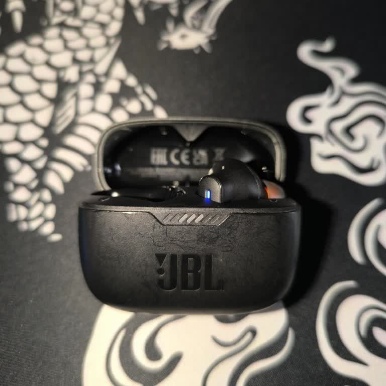 JBL Kulaklığımın Kaybolan Sol Tekini Bulamıyorum