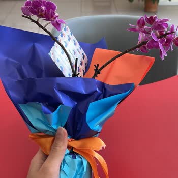 Görselden Farklı Ürün Ve İlgisiz Müşteri Hizmeti