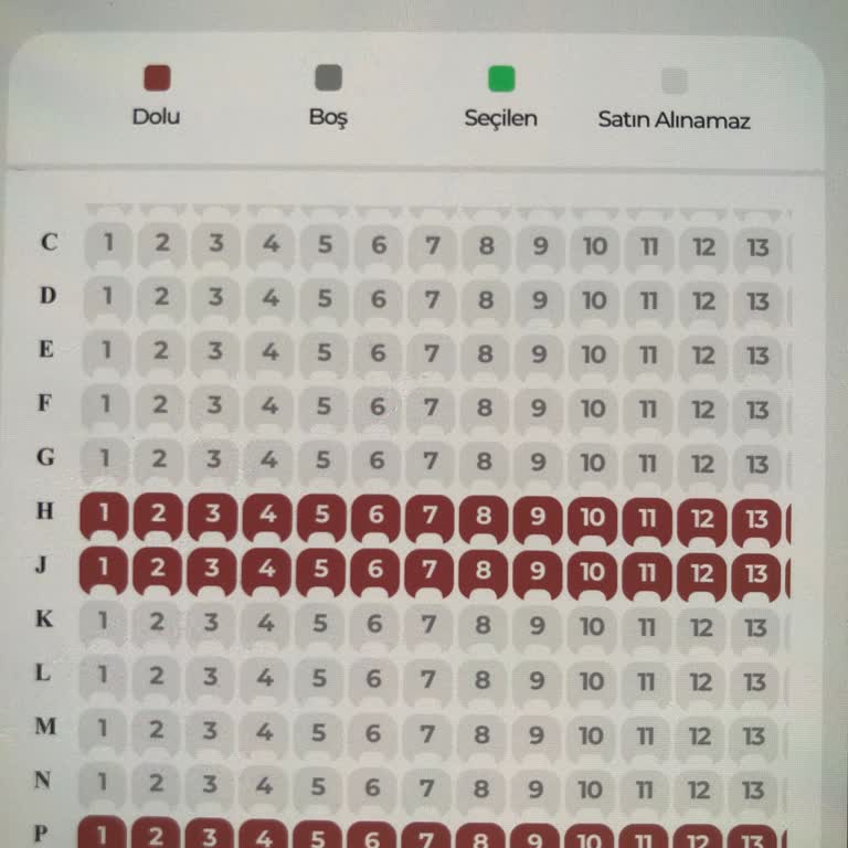 Konser Bileti Satın Alma Sorunu