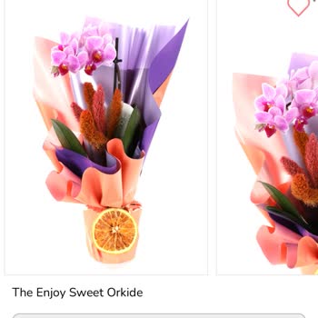 Siparişim Beklediğim Gibi Gelmedi, Orkide Özensiz Hazırlanmıştı