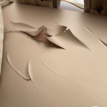 Ankara Siteler Erdil Mobilya Ne Para İadesi Alabildik Ne De Sorunlarımız Çözüldü!