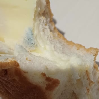 Dardanel Taze Olması Gereken Sandviçte Küflü Kaşar Şoku