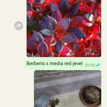 Yanlış Ürün Gönderimi Ve Olumsuz Müşteri Hizmeti Deneyimi