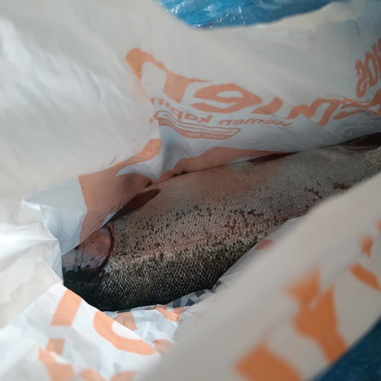 Migros Sanal Market Somon Balık Temizliği Hayal Kırıklığı
