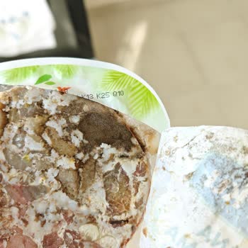 Torku Kavurmada Son Kullanma Tarihi Geçmemiş Olmasına Rağmen Küf Ve Bozulma Şoku