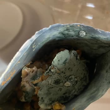 Taze Olması Gereken Salata Küflü Çıktı!