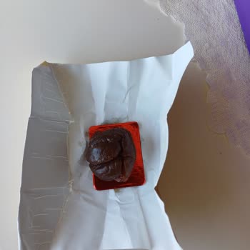 Bozuk Kestane Şekeri İçin İade Veya Değişim Talebim Karşılanmadı