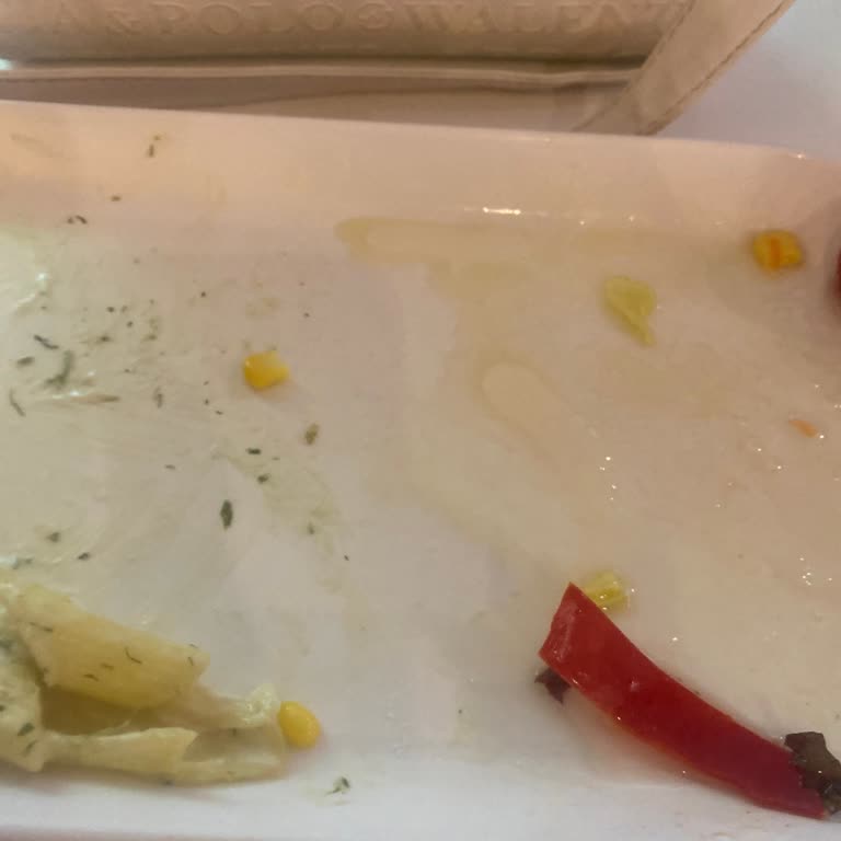 Tavuk Dünyası'nda İlgisizlik Ve Hijyen Sorunu