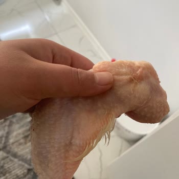 BİMden Aldığım Tavukta Yoğun Tüyler Vardı Temizlik Yapılmamış