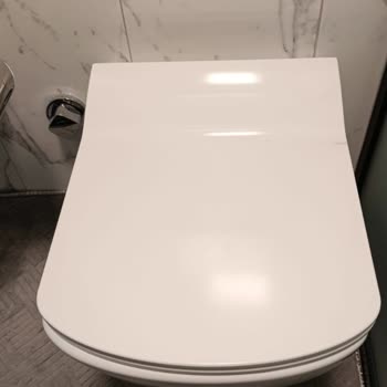 Creavit Klozet Kapağı Menteşe Kırılması Hayal Kırıklığı Yarattı