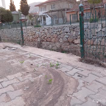 Nallıhan'da Dere Boyu Güvenlik İhmali: Kamu Malı Zarar Görüyor, Vatandaş Tehlikede