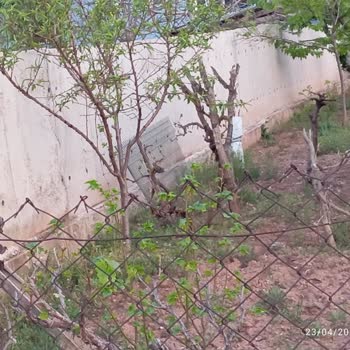 Nallıhan'da Dere Boyu Güvenlik İhmali: Kamu Malı Zarar Görüyor, Vatandaş Tehlikede