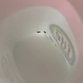 Aldığım Konsantre Ürünün İçinde Yabancı Cisim Çıktı, Açıklama Bekliyorum