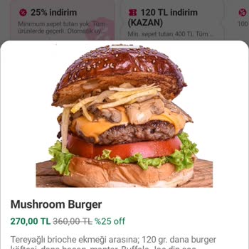 Buffalo Joe Torbalı Saygısız Tutum