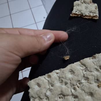 Wasa Gıda Delikatess Ürünün İçinden Çıkan Yabancı Madde!