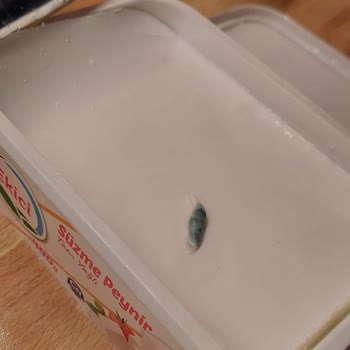 Aldığım Süzme Peynir Bozuk Çıktı, İade Edemedim