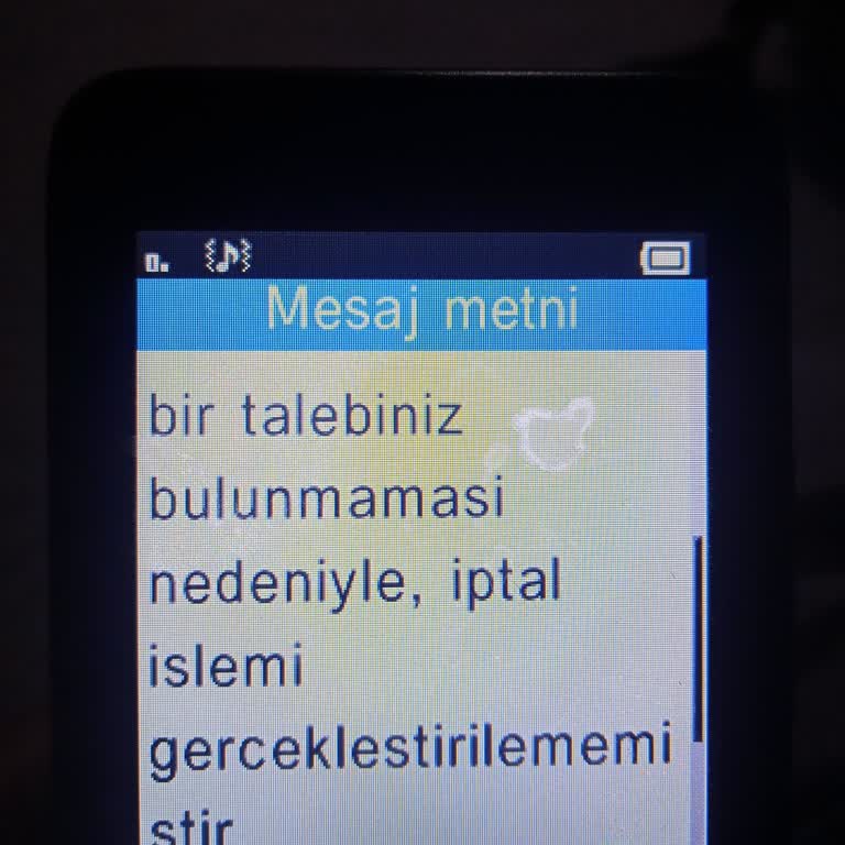 Hayat Sigortası Cayma Talebim İşleme Alınmadı, Para İadem Yapılmadı