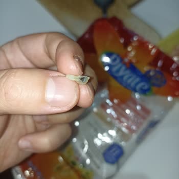 Piyale Makarna İçinden Çıkan Siyah Cisimle Yaşadığımız Şok