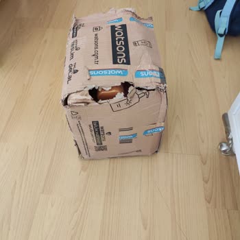Watsons Siparişlerinde Hasarlı Kargo Ve Yetersiz Müşteri Hizmeti