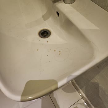 Yüksek Fiyatlara Rağmen Hijyenik Olmayan Tuvaletler Hayal Kırıklığı Yarattı