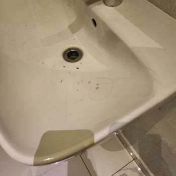 Yüksek Fiyatlara Rağmen Temizlik Sorunu Yaşadık