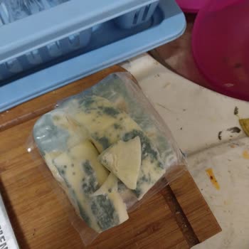 Vestel Sold Me a Faulty NF 52101 Refrigerator That Spoils All My Food