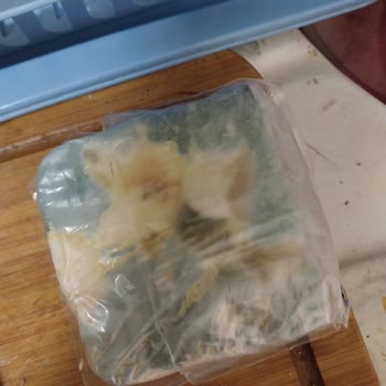 Vestel Sold Me a Faulty NF 52101 Refrigerator That Spoils All My Food