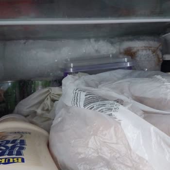 Vestel Sold Me a Faulty NF 52101 Refrigerator That Spoils All My Food