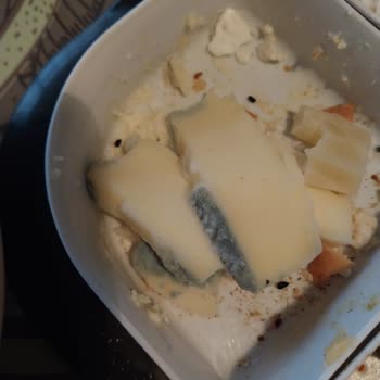 Vestel Sold Me a Faulty NF 52101 Refrigerator That Spoils All My Food