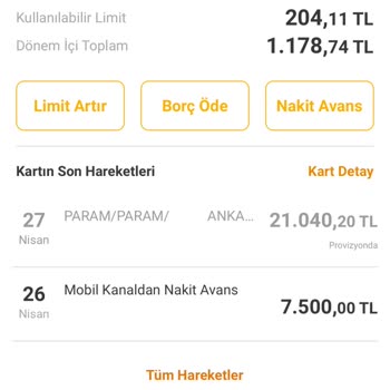 Para Transferi Sonrası Hesabımda Görüntüleme Ve Erişim Sorunu