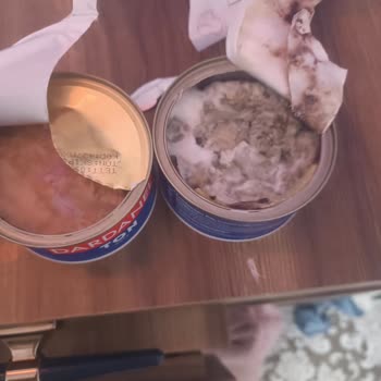 Dardanel Ton Balığında Beklenmedik Yabancı Madde Şoku