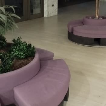 Hastane Oturma Alanında Böcek Sorunu Ailemi Tedirgin Etti