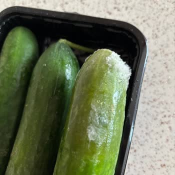 Çürük Ürün Ve Yetersiz Müşteri Hizmetleri Deneyimi