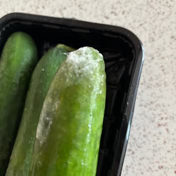 Çürük Ürün Ve Yetersiz Müşteri Hizmetleri Deneyimi