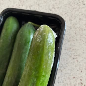 Çürük Ürün Ve Yetersiz Müşteri Hizmetleri Deneyimi