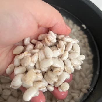 Aldığım Kuru Fasulye Paramparça Çıktı Telafi İstiyorum