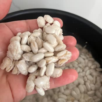 Aldığım Kuru Fasulye Paramparça Çıktı Telafi İstiyorum