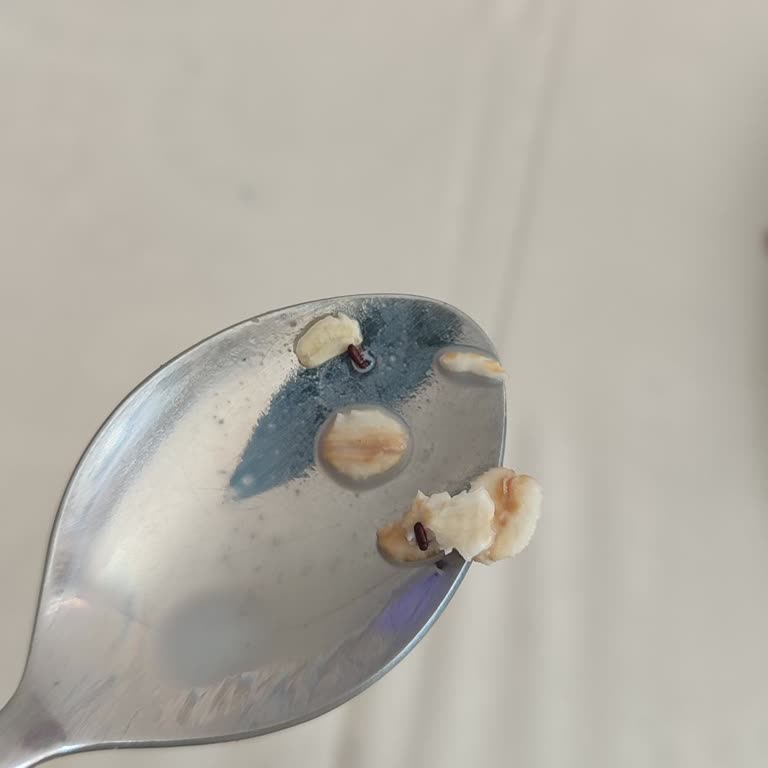 Yulaf Ezmesinden Böcek Çıkması Nedeniyle Hayal Kırıklığı