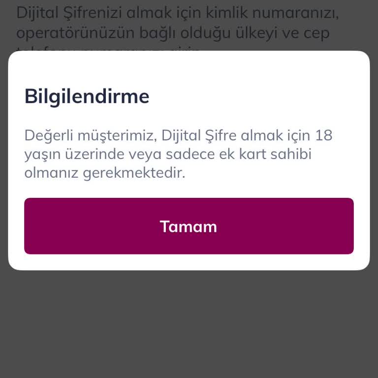 16 Yaş Altı Müşteriler İçin Mobil Giriş Sorunu Ve Hesap Erişimi Problemi
