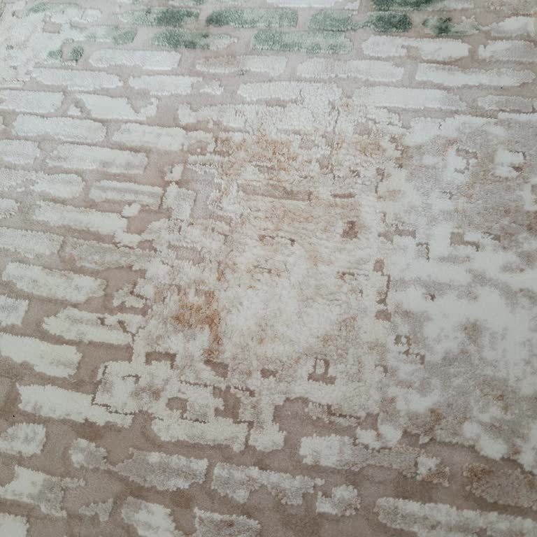 Merinos Thales Halı Kısa Sürede Keçeleşti