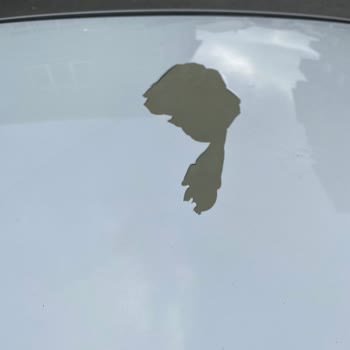 Shell Oto Yıkamada Yüksek Basınç Boya Atmasına Neden Oldu