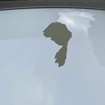 Shell Oto Yıkamada Yüksek Basınç Boya Atmasına Neden Oldu