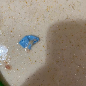 Sasu Ton Balığı Konservesinden Mavi Eldiven Parçası Çıktı