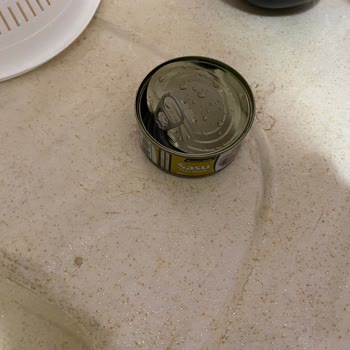 Sasu Ton Balığı Konservesinden Mavi Eldiven Parçası Çıktı