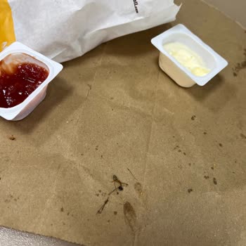 Burger King Steakhouse Burger İçerisinden Çıkan Örümcek Şoku!