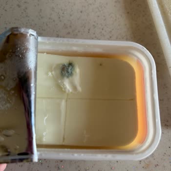 Son Kullanma Tarihi Geçmemiş Peynirde Küf Sorunu