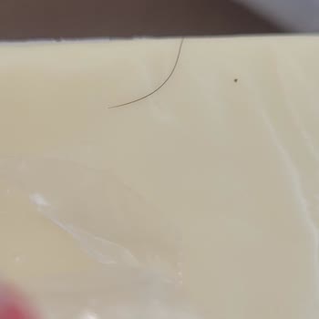 Kaşar Peynirinde Kıl Şoku Ve Hijyen Endişesi