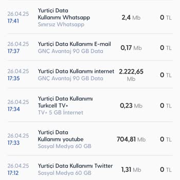 Faturalı Tarifede Hatalı İnternet Kullanımının Açıklanamaması Ve Müşteri Hizmetlerinin Yetersizliği